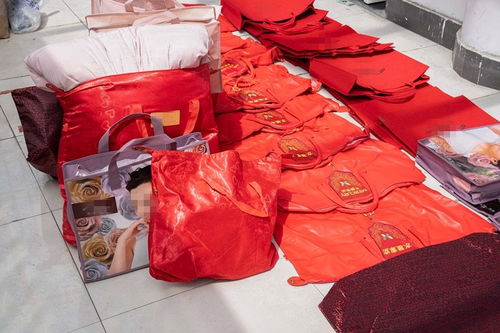 低至四折的明星產品藏貓膩 水星家紡大豆被遭仿冒，上海警方搗毀偽劣羽絨制品窩點